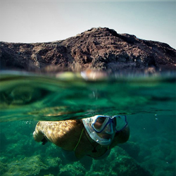 Ut - Oneday Snorkeling